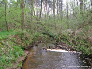 Leubeek, lente