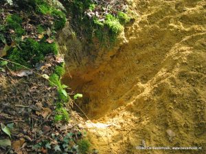 Dassenburcht, Zelster Beek