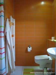 Douche en toilet van slaapkamer 1